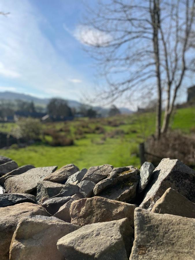 Trawsfynydd Stone Cottage Экстерьер фото